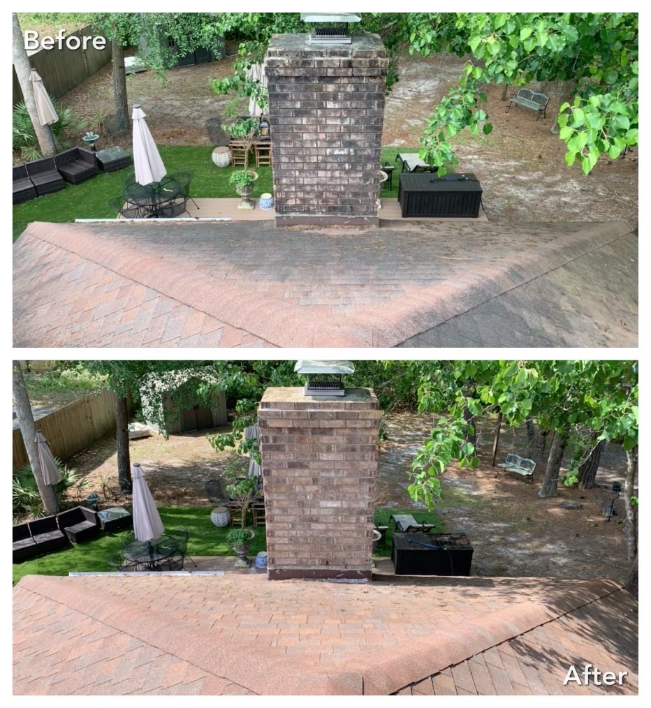 Professional Roof Cleaning in Springfield, Georgia