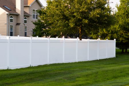 Fence Cleaning