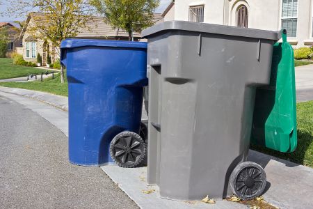 Garbage Bin Cleaning